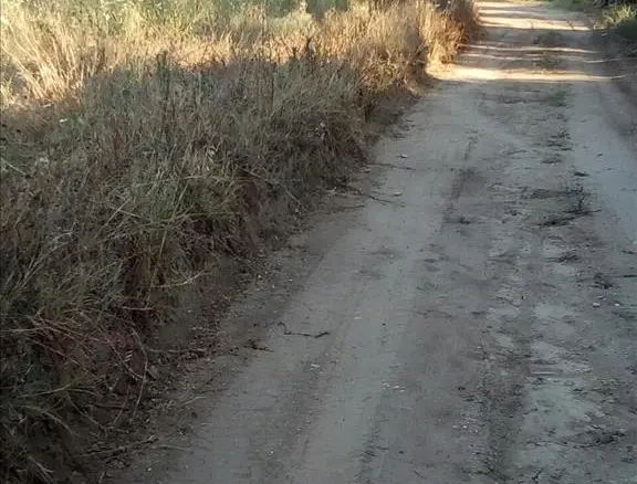 Land In Kassandra, Greece