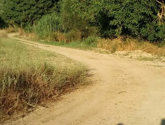 Land In Kassandra, Greece