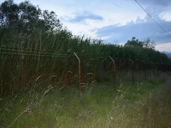 Land In Eleftherio-kordelio, Greece