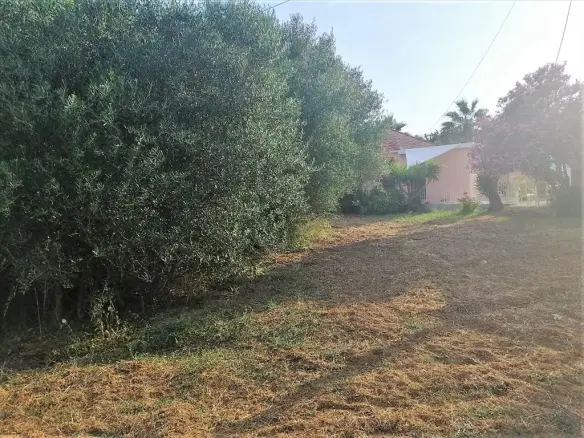Land In Greece