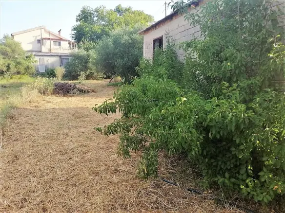 Land In Greece