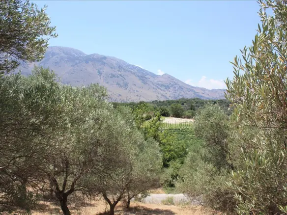 Land In Georgioupoli, Greece