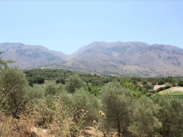 Land In Georgioupoli, Greece