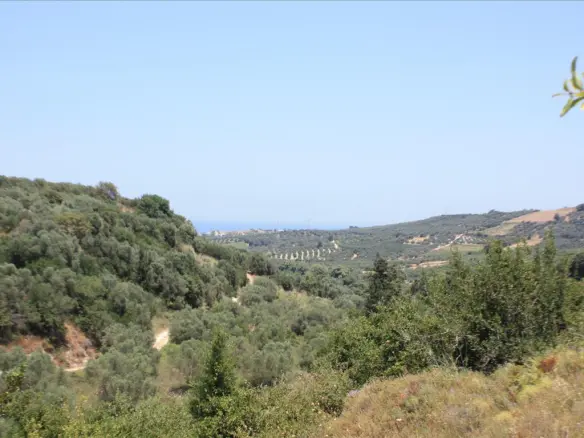 Land In Georgioupoli, Greece