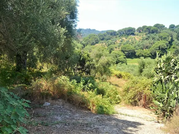 Land In Corfu, Greece
