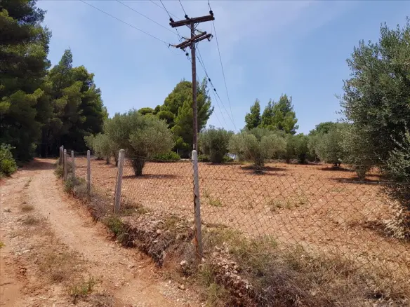 Land In Sithonia, Greece