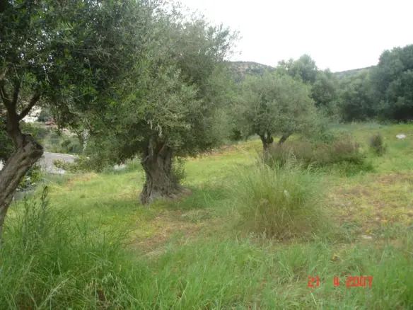 Land In Gazi, Greece