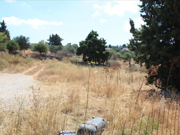 Land In Vamos, Greece