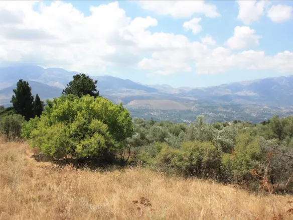 Land In Vamos, Greece