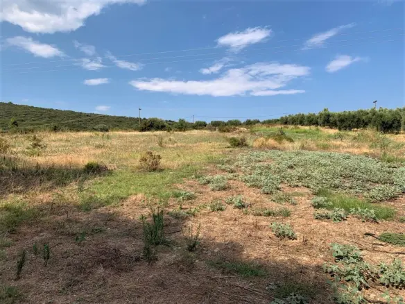 Land In Poligiros, Greece