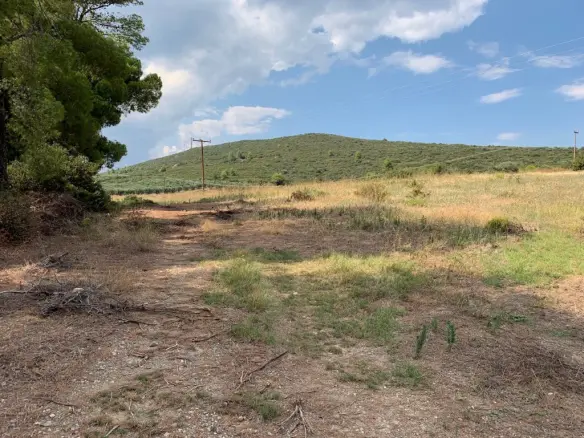 Land In Poligiros, Greece