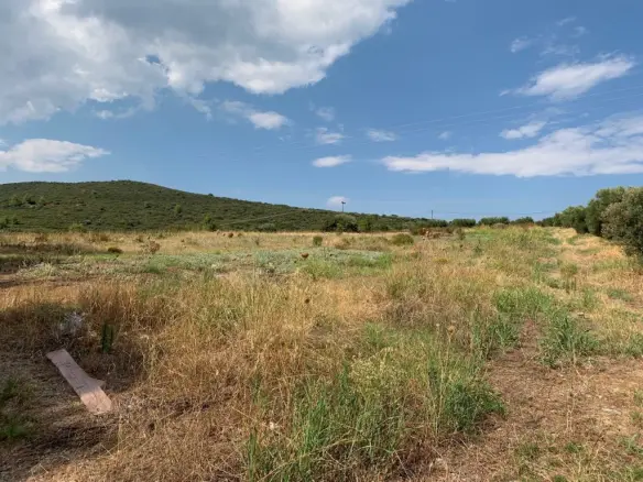Land In Poligiros, Greece