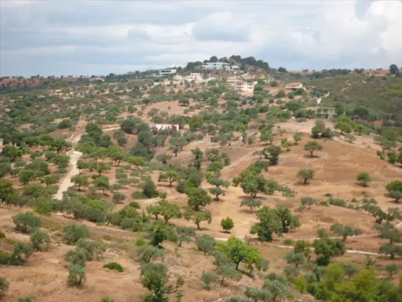 Land In Kranidi, Greece (6.000 M²)