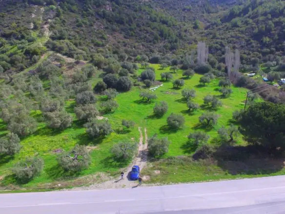 Land In Sithonia, Greece