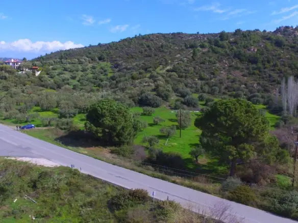 Land In Sithonia, Greece