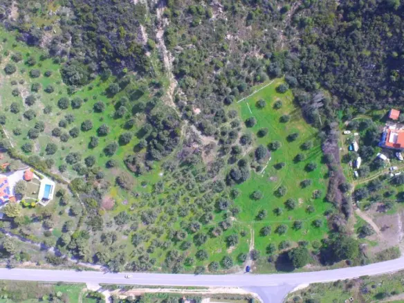 Land In Sithonia, Greece