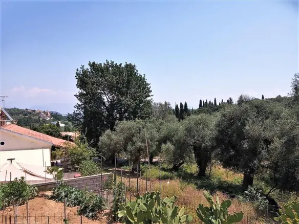 Detached House In Corfu, Greece (350 M²)