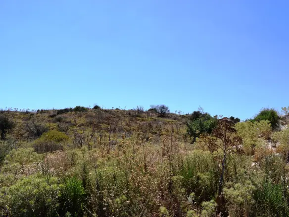 Land In Souda, Greece