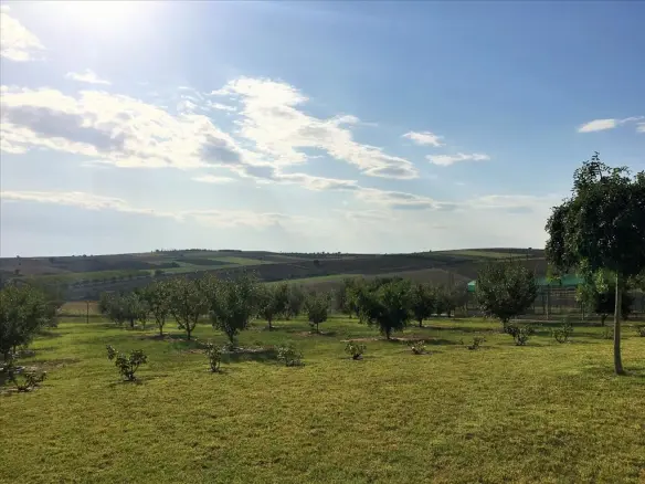5-bedroom Detached House In Thermaikos, Greece (410 M²)