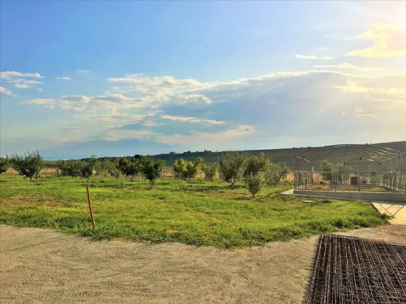 5-bedroom Detached House In Thermaikos, Greece (410 M²)