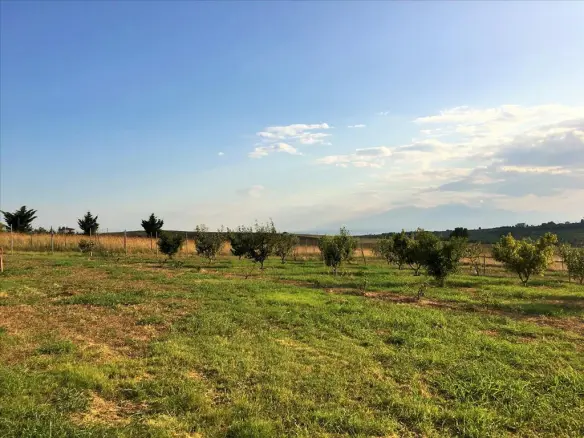 5-bedroom Detached House In Thermaikos, Greece (410 M²)