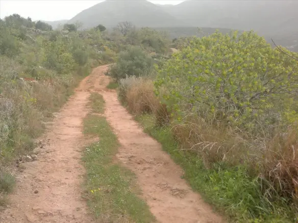 Land In Lefktros, Greece