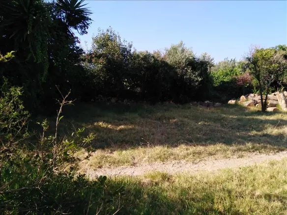 Land In Platanias, Greece