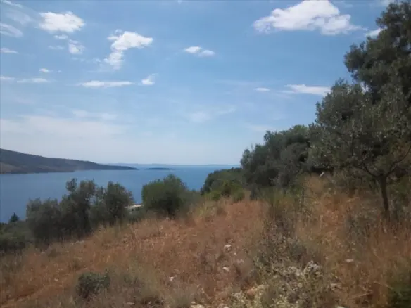 Land Plot Of 4182 M² Available In Epirus Region