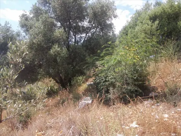 Land Plot Of 4182 M² Available In Epirus Region