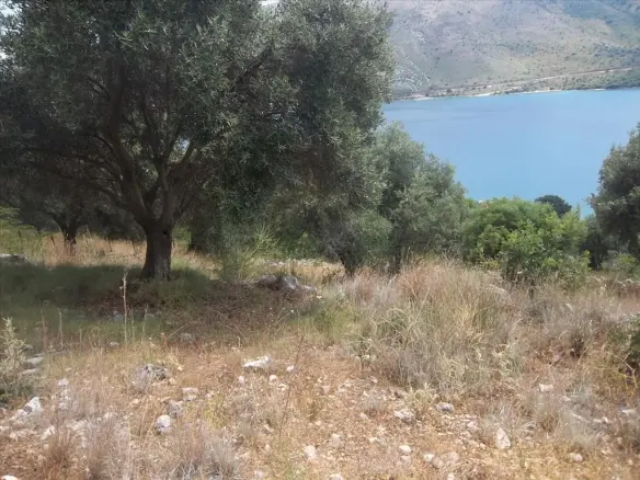 Land Plot Of 4182 M² Available In Epirus Region