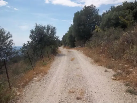 Land Plot Of 4182 M² Available In Epirus Region