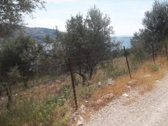 Land Plot Of 4182 M² Available In Epirus Region