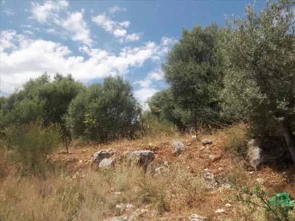 4280 M² Land Parcel Available In Epirus Region