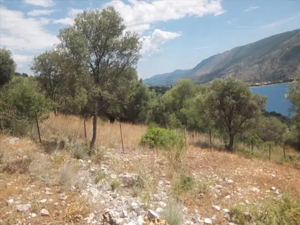 4280 M² Land Parcel Available In Epirus Region