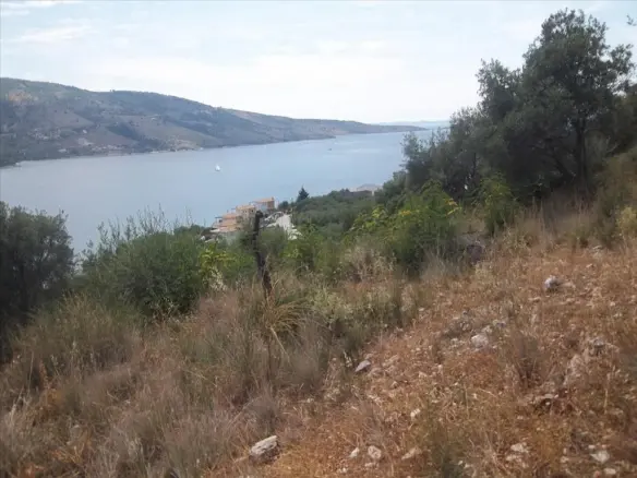4280 M² Land Parcel Available In Epirus Region