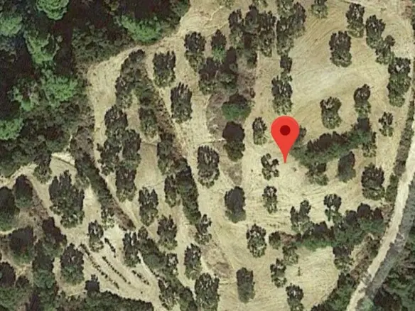Land In Kassandra, Greece