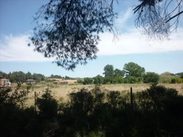 Land In Kassandra, Greece