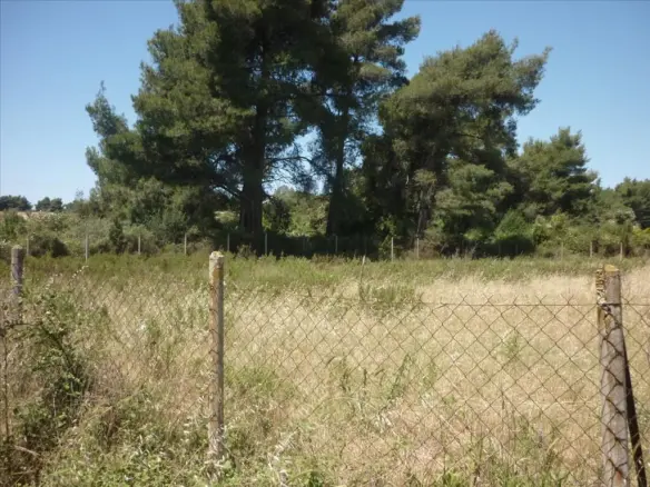 Land In Kassandra, Greece