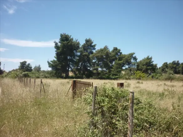 Land In Kassandra, Greece