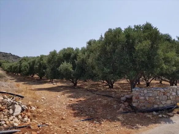 Land In Neapoli, Greece