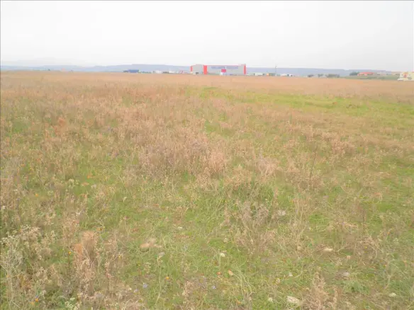 Land In Nea Propontida, Greece
