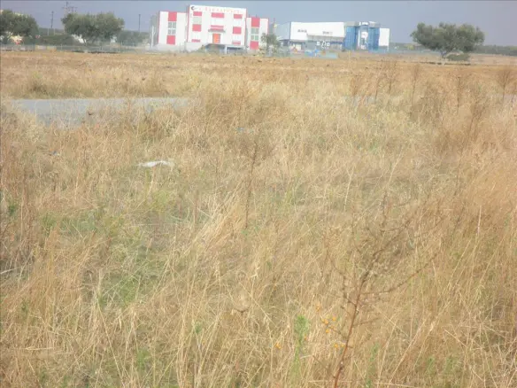 Land In Nea Propontida, Greece