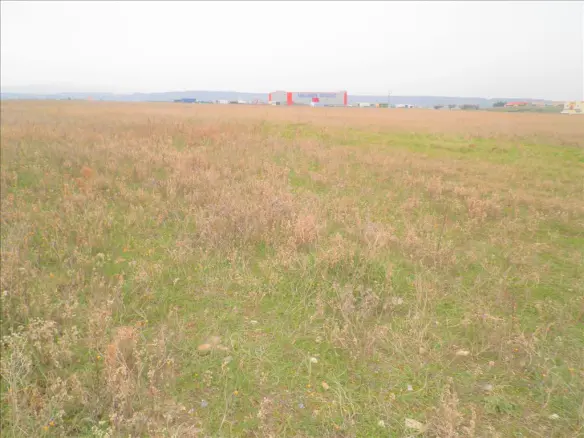 Land In Nea Propontida, Greece