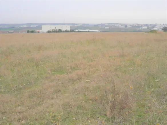 Land In Nea Propontida, Greece