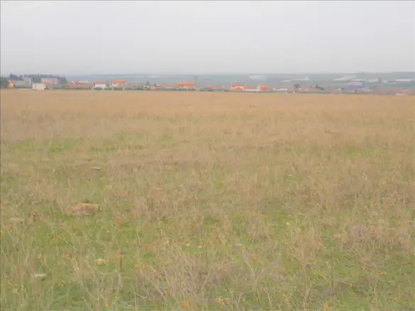 Land In Nea Propontida, Greece