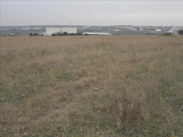 Land In Nea Propontida, Greece