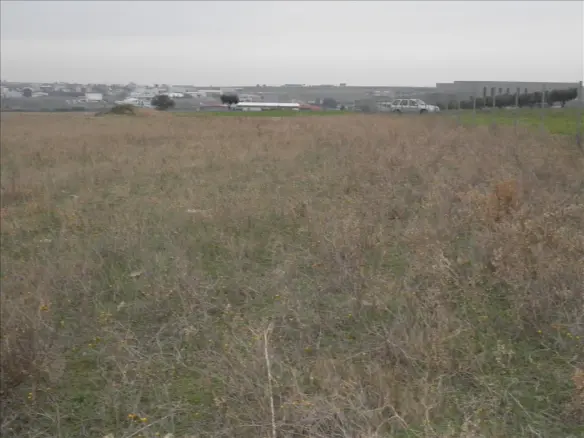 Land In Nea Propontida, Greece