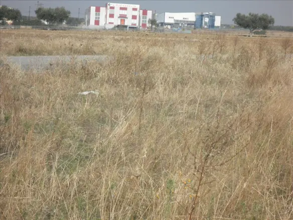 Land In Nea Propontida, Greece
