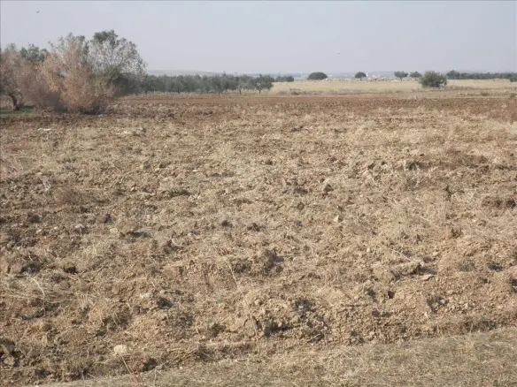 Land In Nea Propontida, Greece