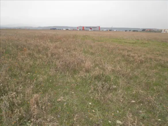 Land In Nea Propontida, Greece